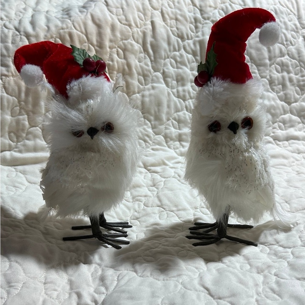 Small White Feathered Christmas Owls Set Of 2